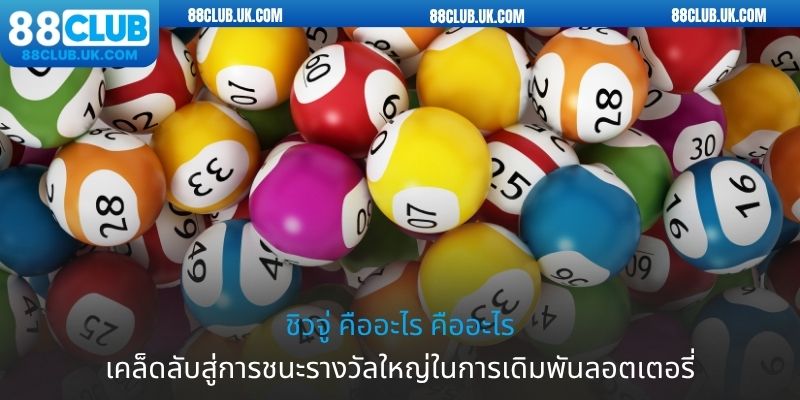 ชิวจู่ คืออะไร? เรียนรู้แนวคิดและวิธีการเล่นที่ 88club