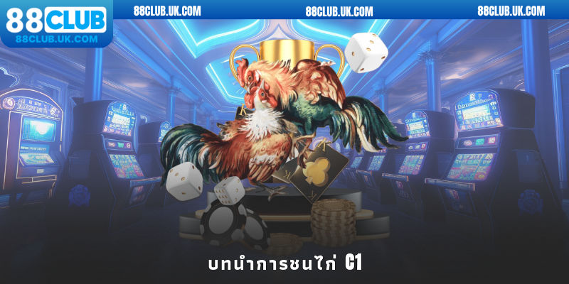 บทนำการชนไก่ C1