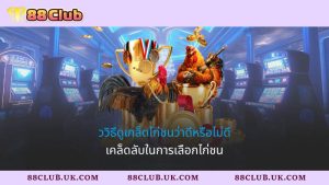 ววิธีดูเกล็ดไก่ชนว่าดีหรือไม่ดี - เคล็ดลับในการเลือกไก่ชน