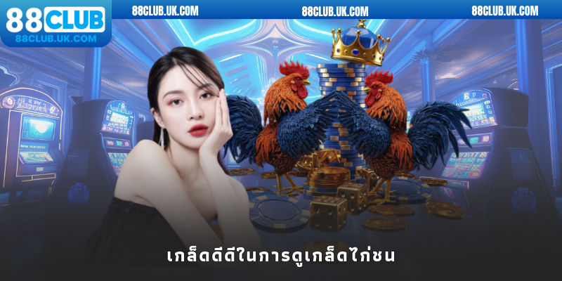 เกล็ดดีดีในการดูเกล็ดไก่ชน