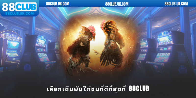 เลือกเดิมพันไก่ชนที่ดีที่สุดที่ 88club