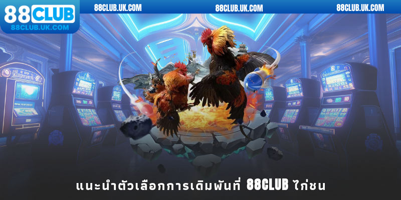 แนะนำตัวเลือกการเดิมพันที่ 88CLUB ไก่ชน